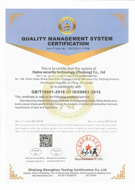 Certificate 6